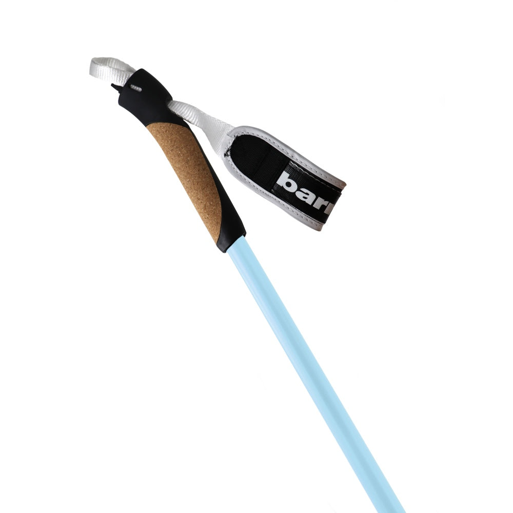 XC-09 100% carbon poles