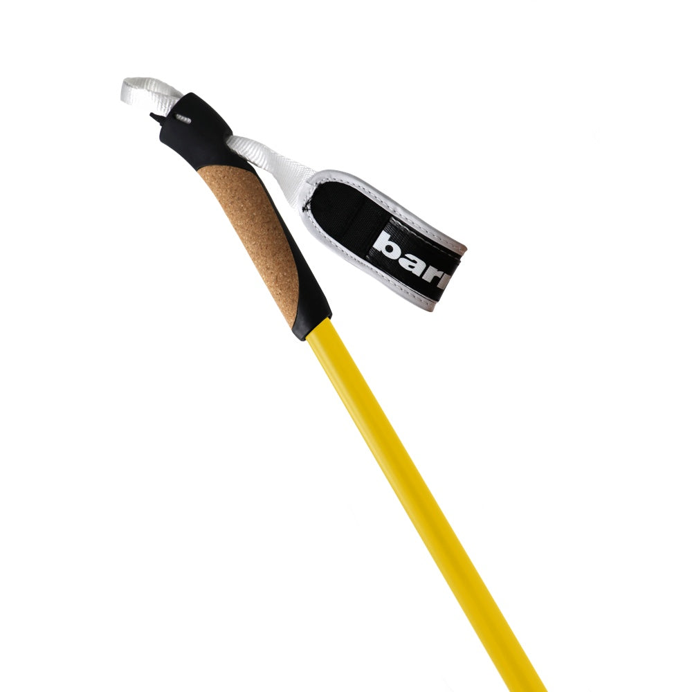 XC-09 100% carbon poles