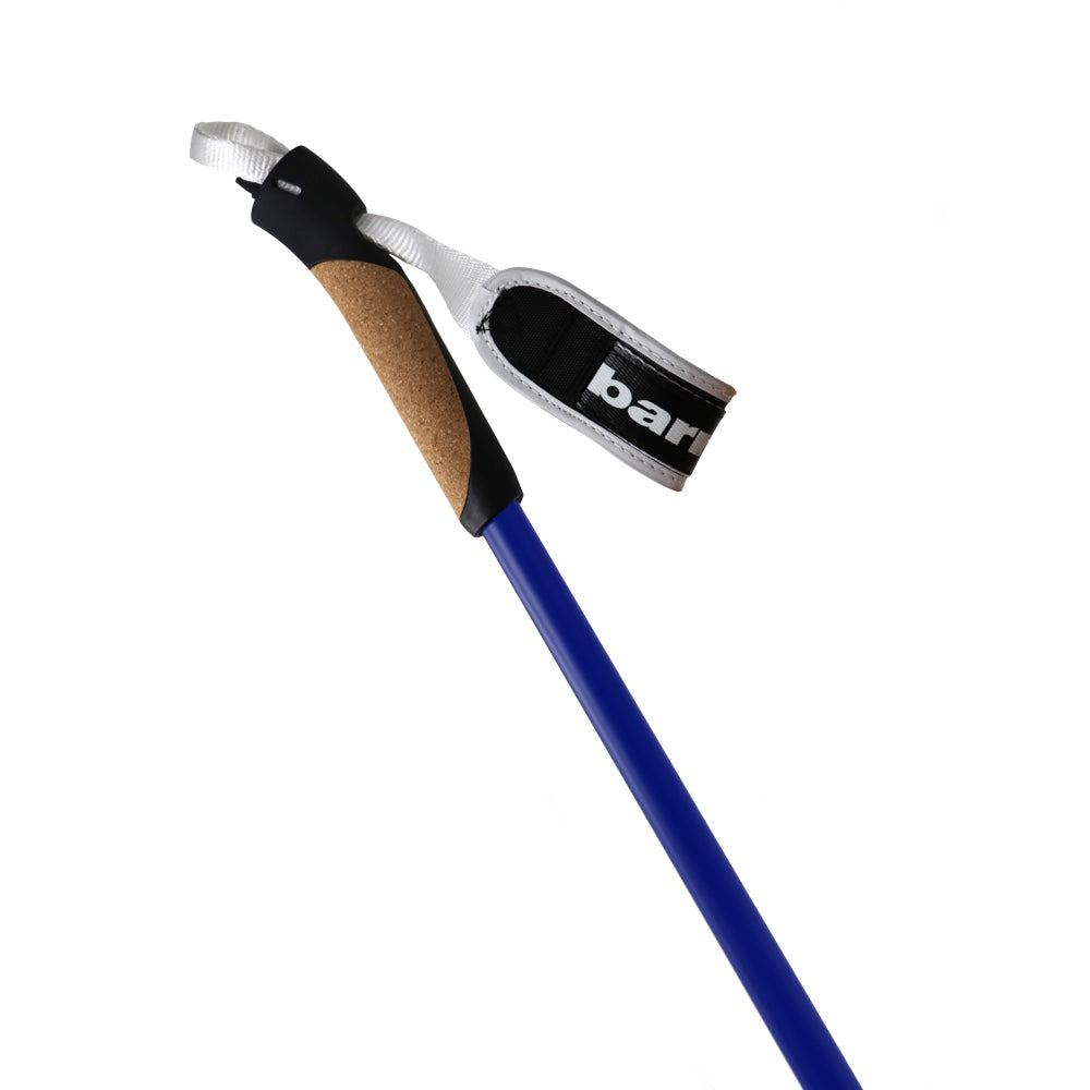 XC-09 100% carbon poles