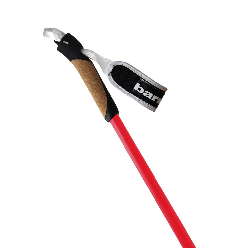 XC-09 100% carbon poles