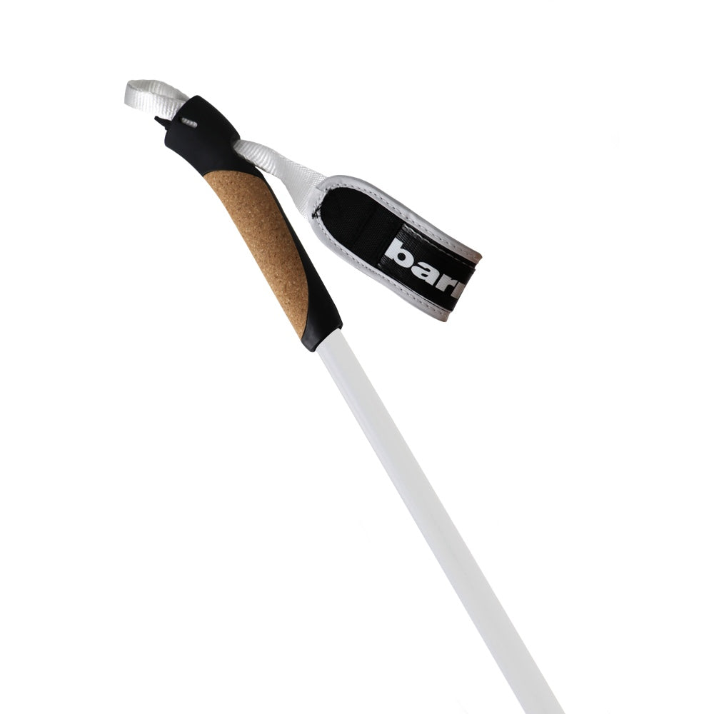 XC-09 100% carbon poles