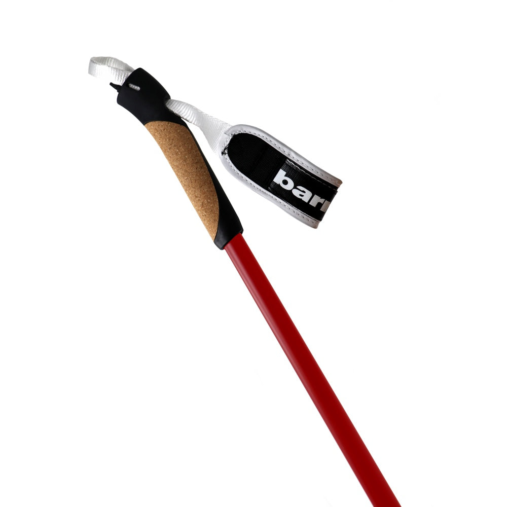 XC-09 100% carbon poles